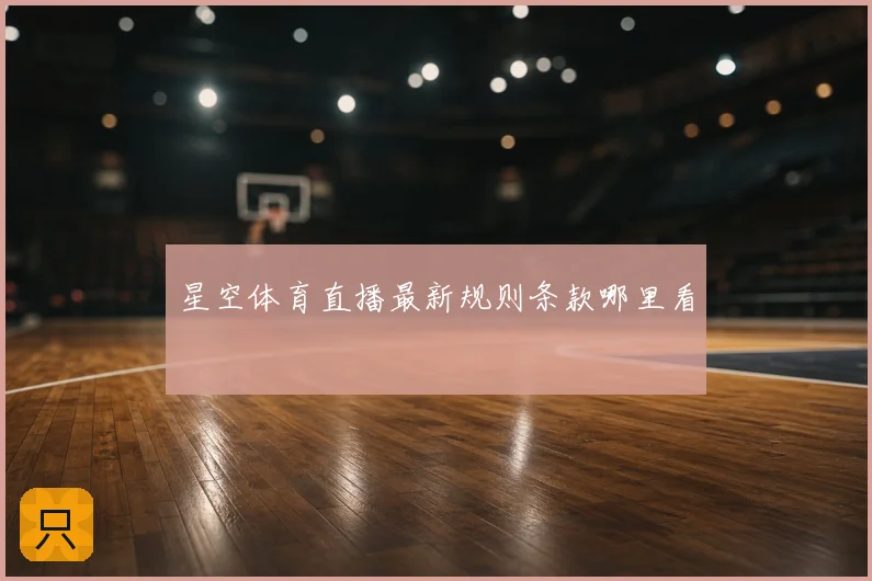 星空体育直播最新规则条款哪里看